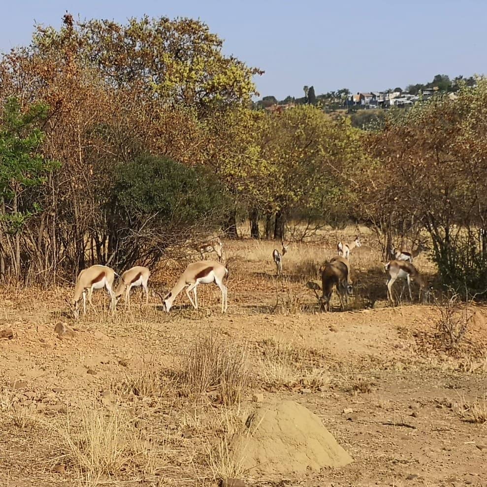 Scenic Hiking Trails