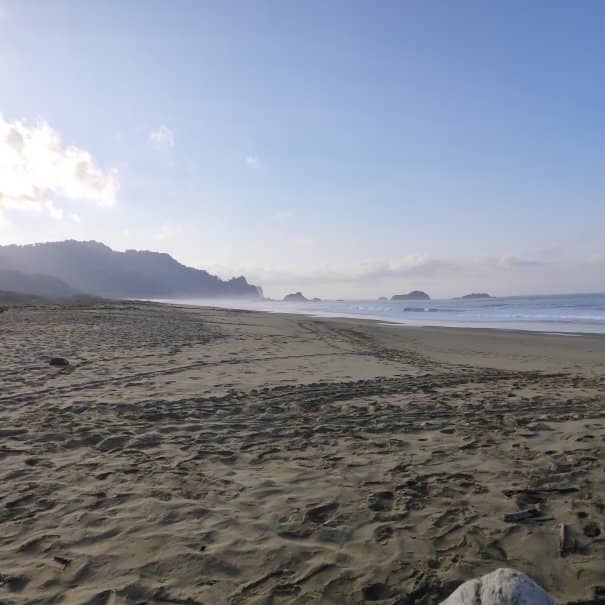 Meru Betiri National Park