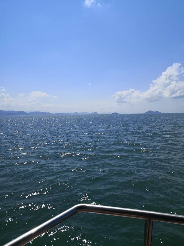 Local Flavors at the Port