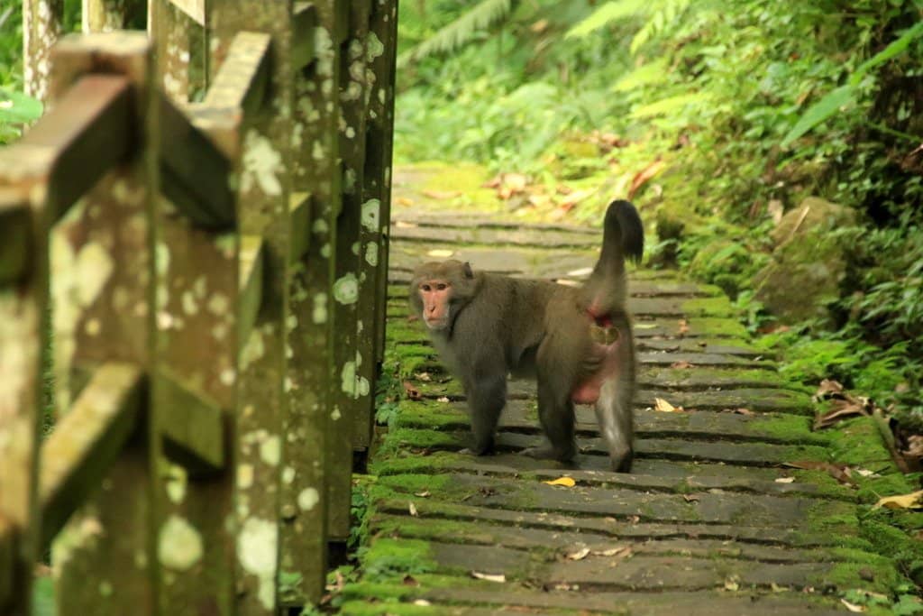Yuantan Natural Ecological Park