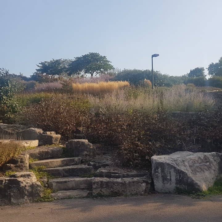 Scenic Walking Trails