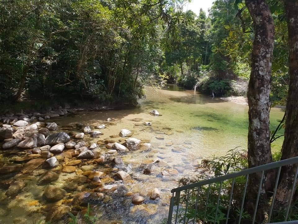 Birdwatching Opportunities