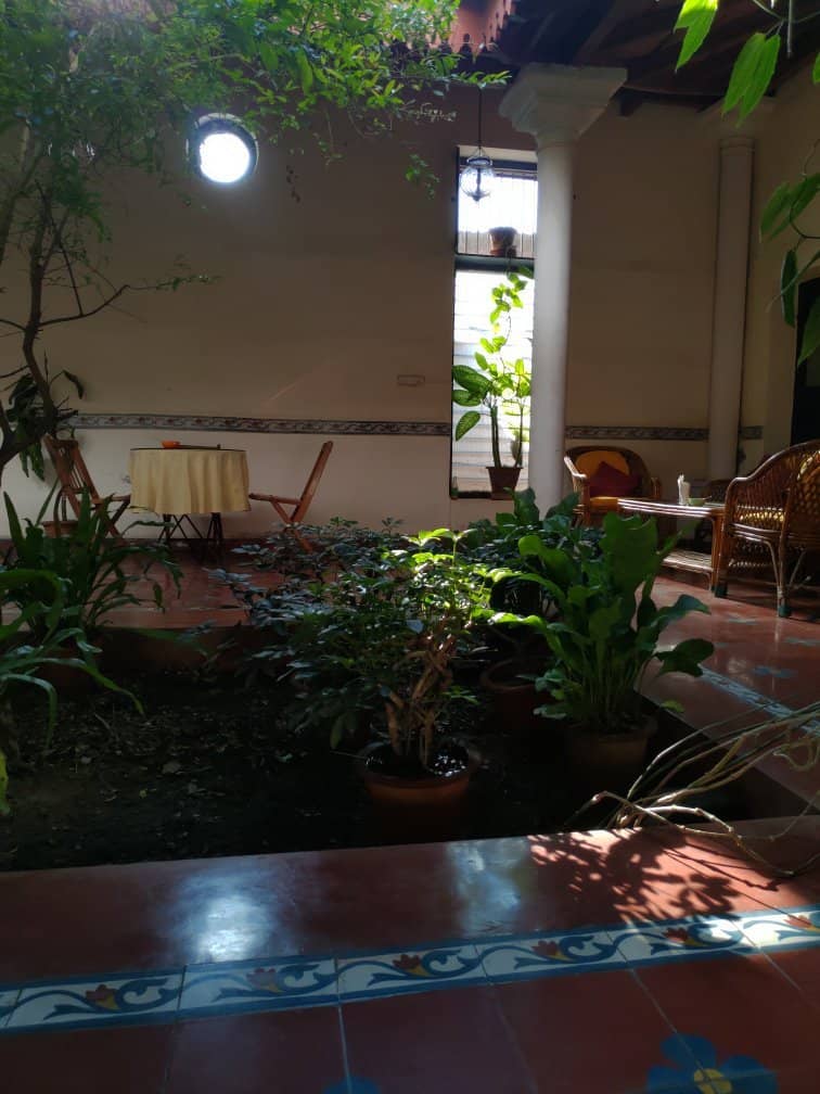 Signature Lemon Drizzle Cake