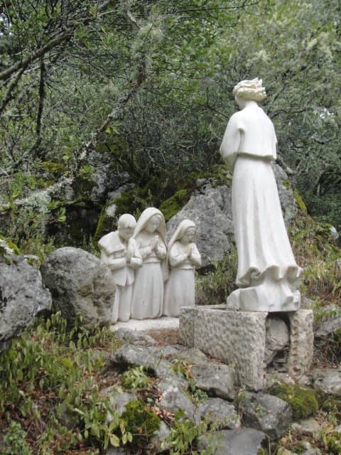 Olive Trees and Mossy Stones