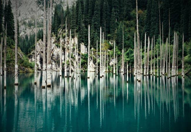 Turquoise Waters