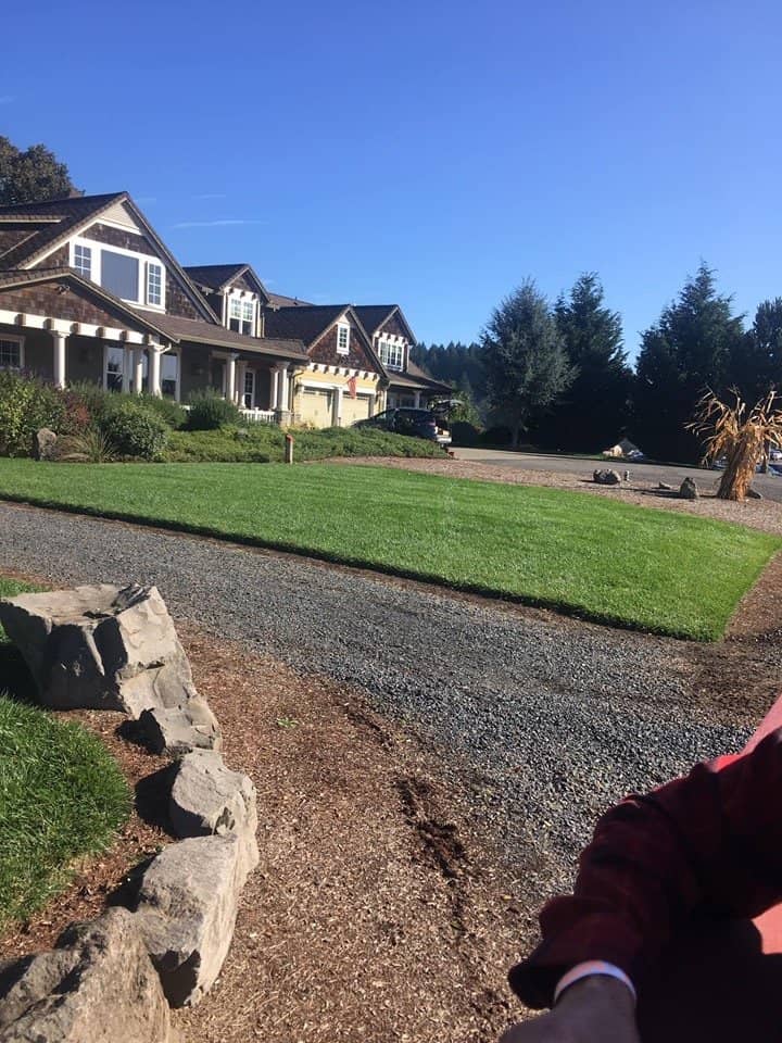 Highlights