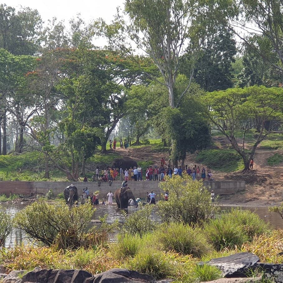 Cauvery River Boat Ride