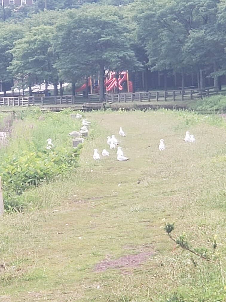Historic D&R Canal Towpath