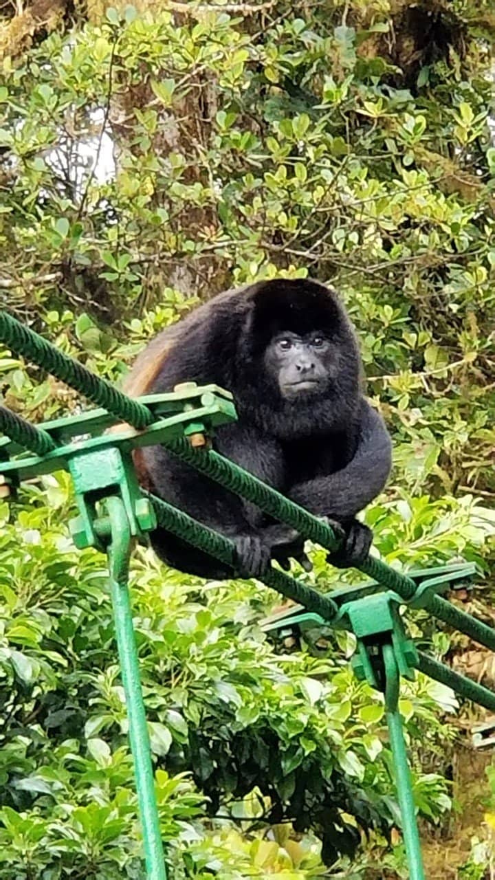 Biodiversity Hotspot