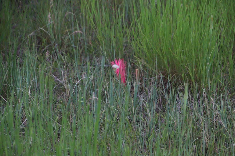 Outlaw and Lawman Graves