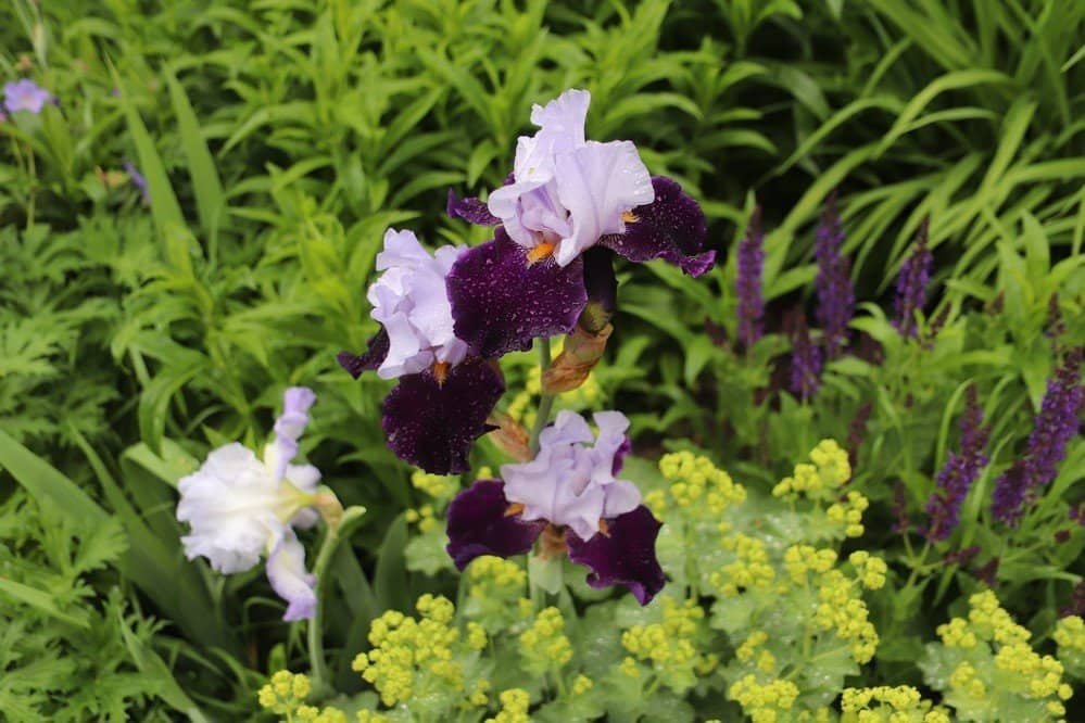 Cutting-Edge Technology of the Era