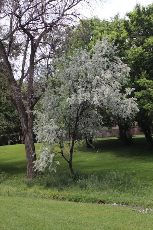 Picnic Spots