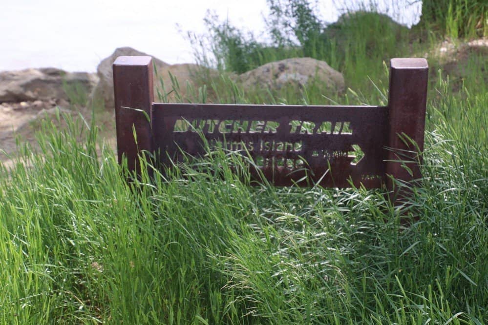 Duck & Goose Encounters