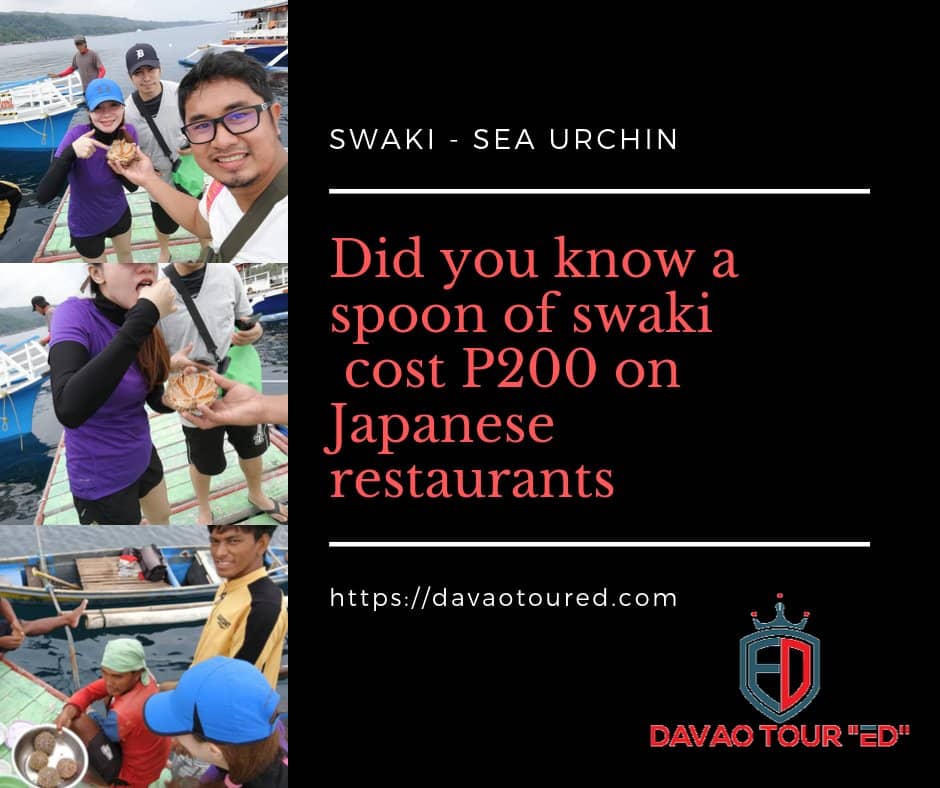 Instagrammable Scenery