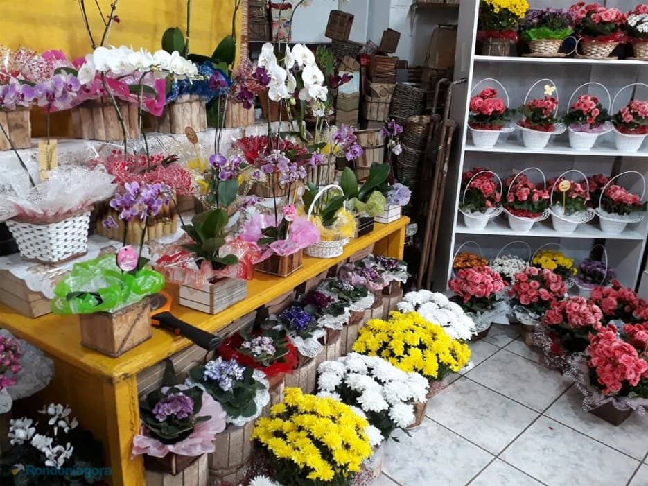 Fashion & Electronics Stores