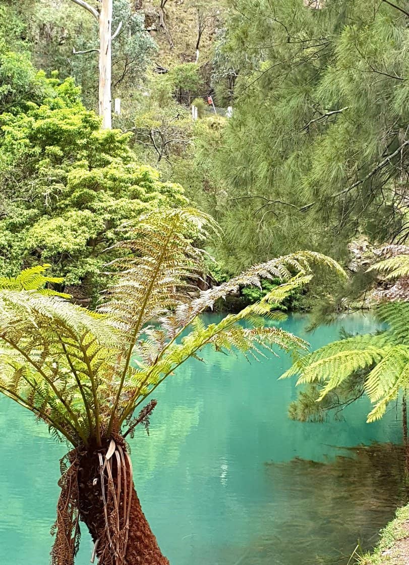 Scenic Bushwalks