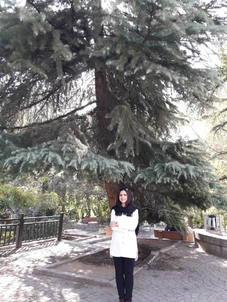 Children's Play Area