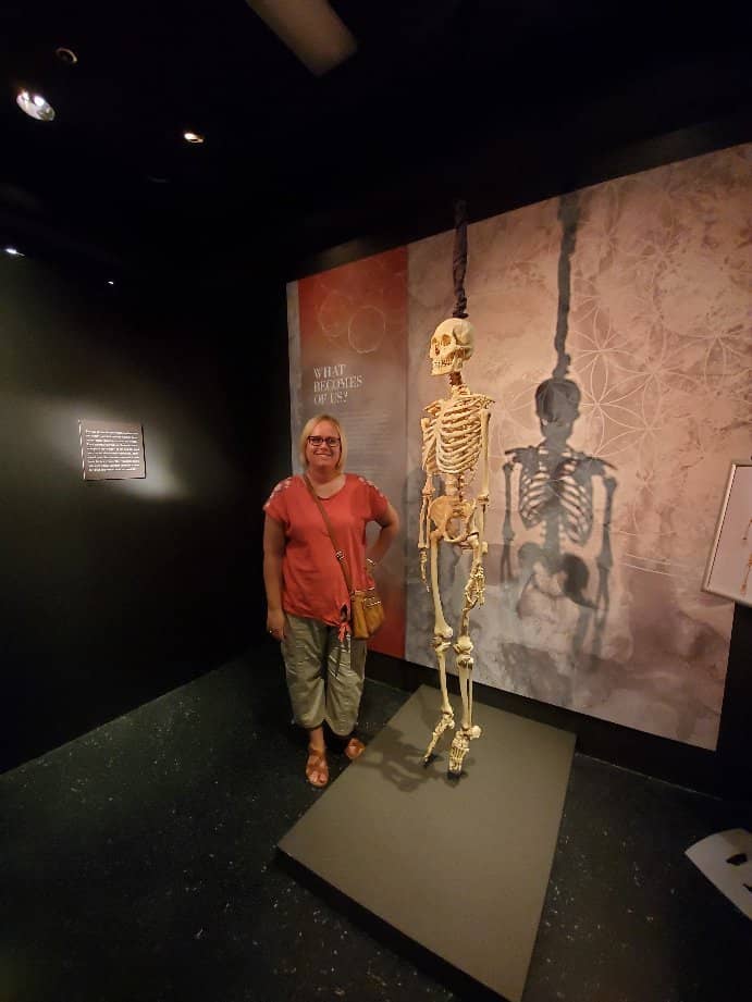 Fetal Development Gallery