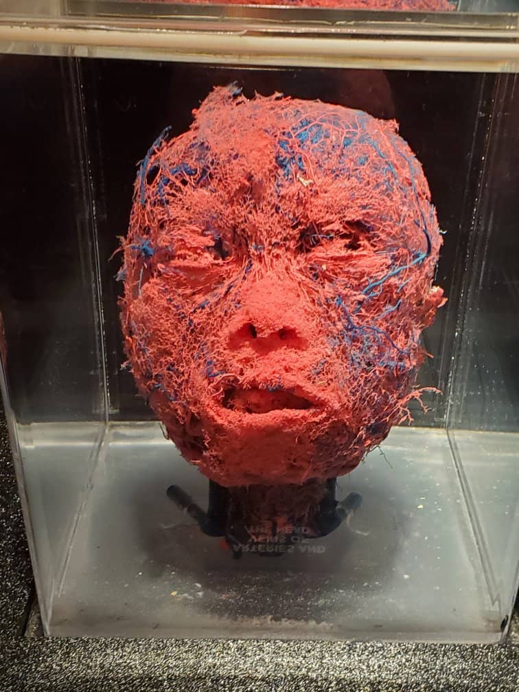 Circulatory and Respiratory Systems