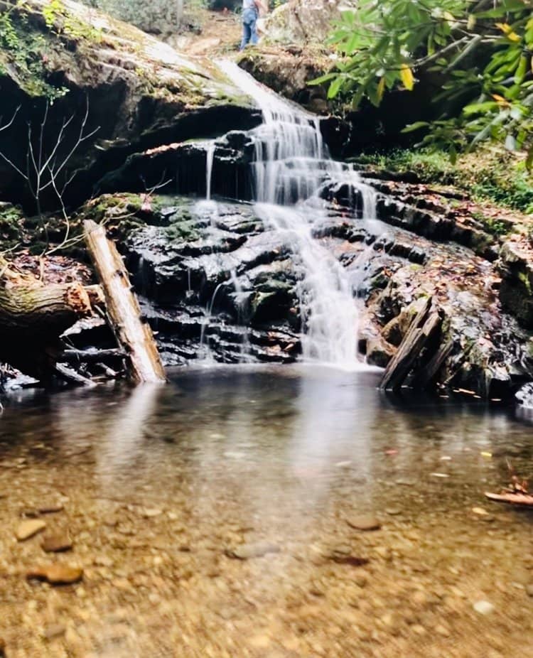 Vertical photo