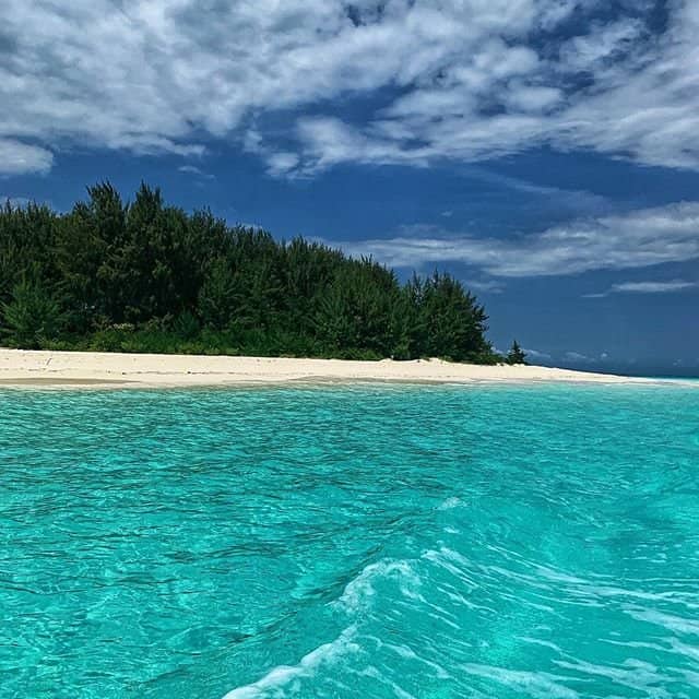Vibrant Coral Reefs
