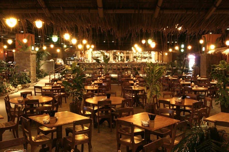 Vibrant Family-Friendly Atmosphere