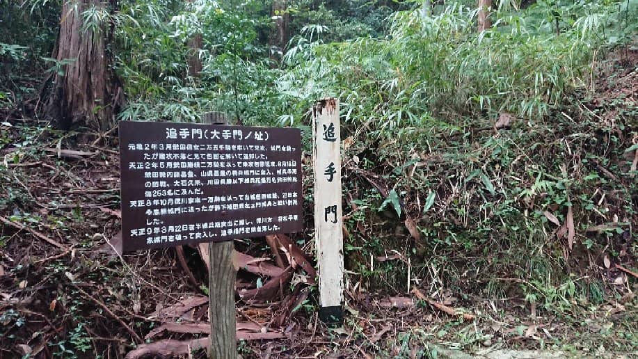 Panoramic Mountain Views