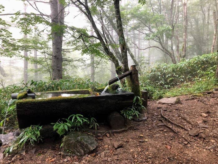Ridgeline Gondola Ride