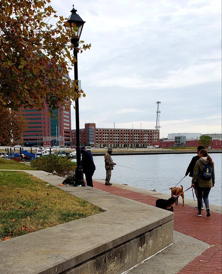 WTMD First Thursdays