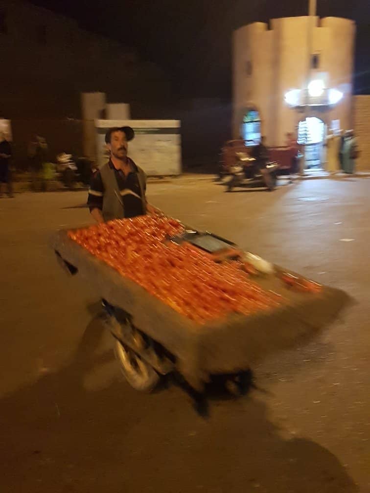 Horseback Riding Adventures