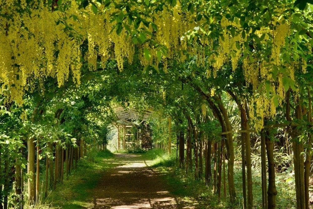 Woodland Trails