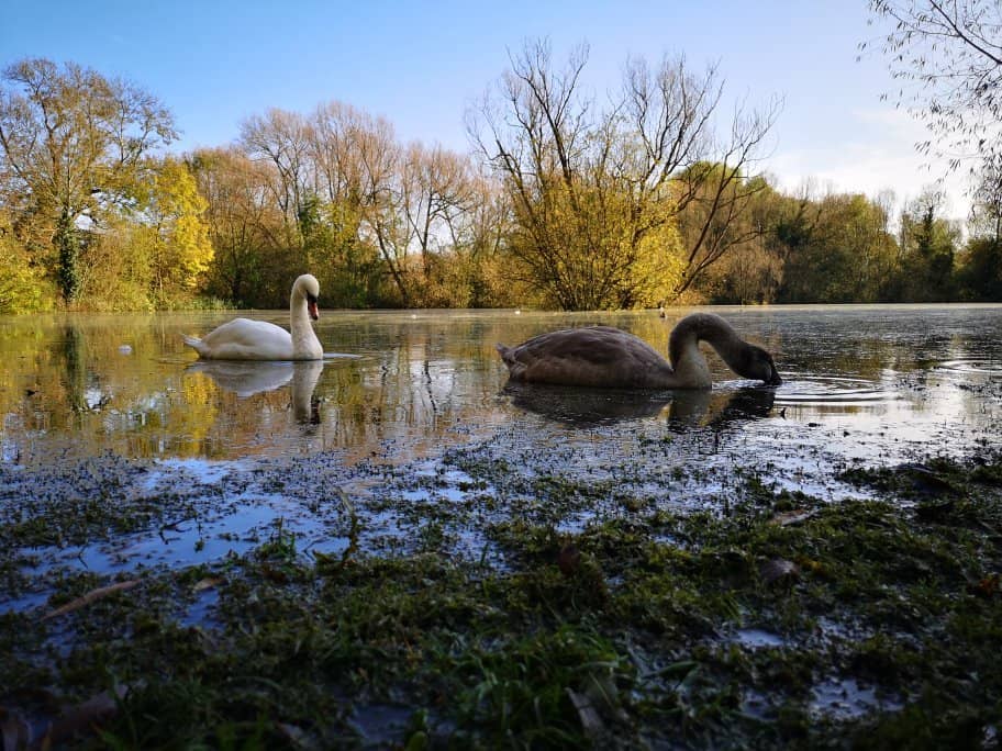 Nature Reserves & Bird Watching