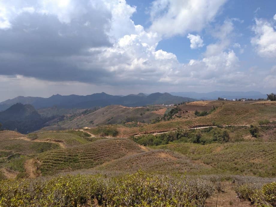 Sierra View & Scenic Overlooks