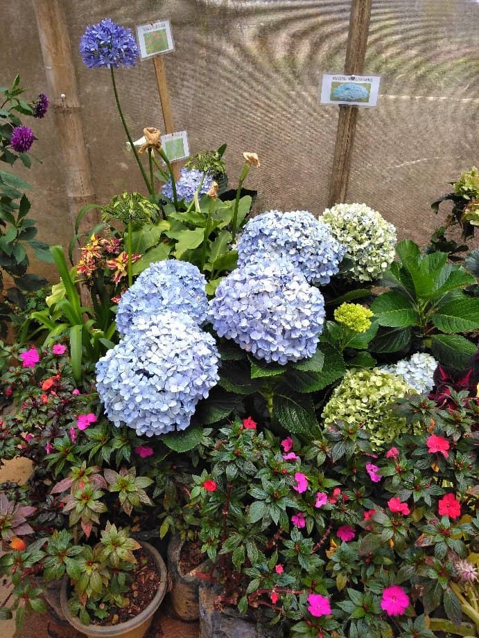 Green House & Flower Gardens