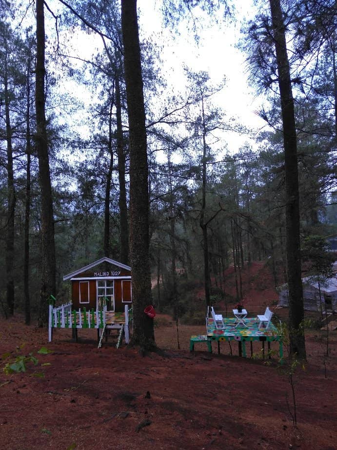 Misty Highland Views