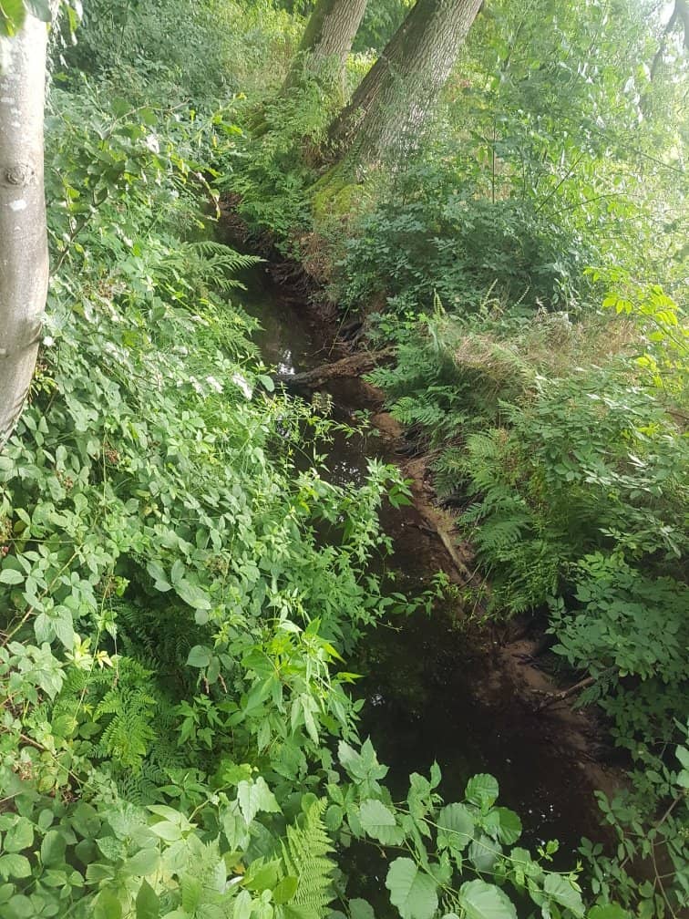 Beeldentuin Quadenoord