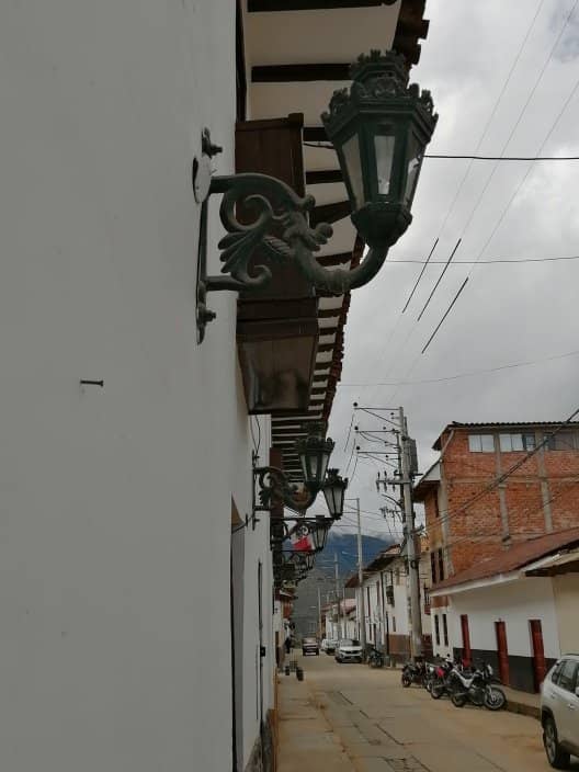 Gastronomic Delights