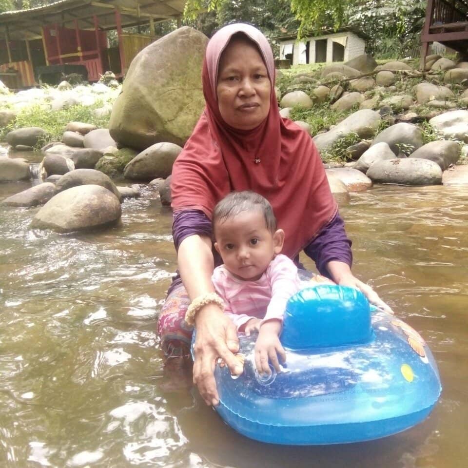 Towering Rainforest Trees