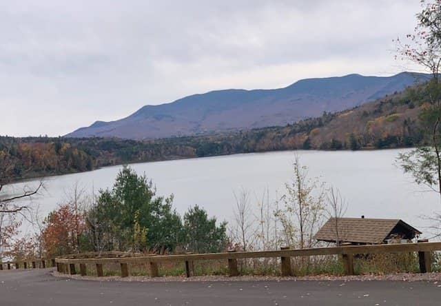 Nature Trail Exploration