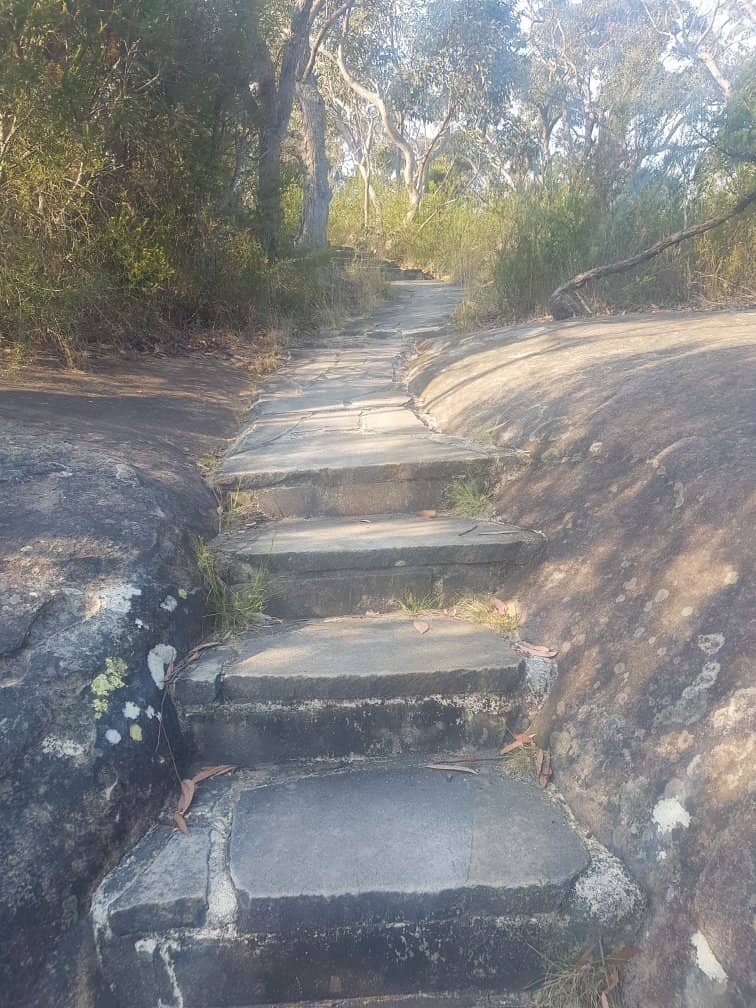 Patonga to Pearl Beach Walk