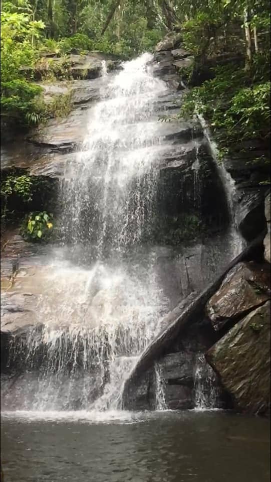 Refreshing Swim