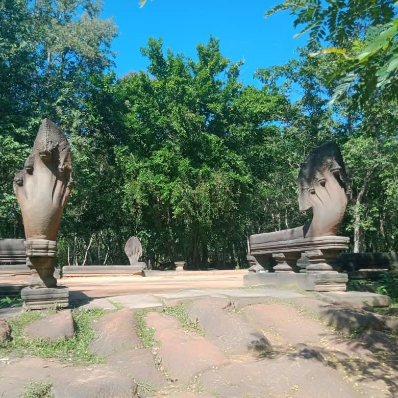 The Cobra Bridge