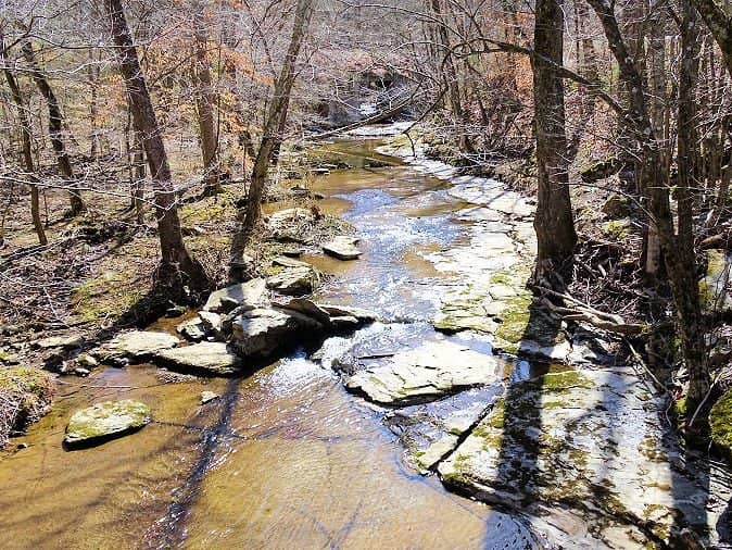 Nature Center Boardwalk