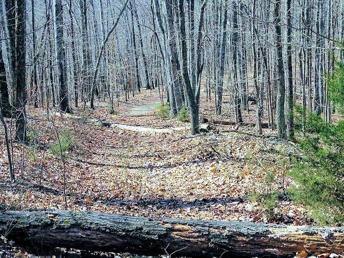 Creekside Trail