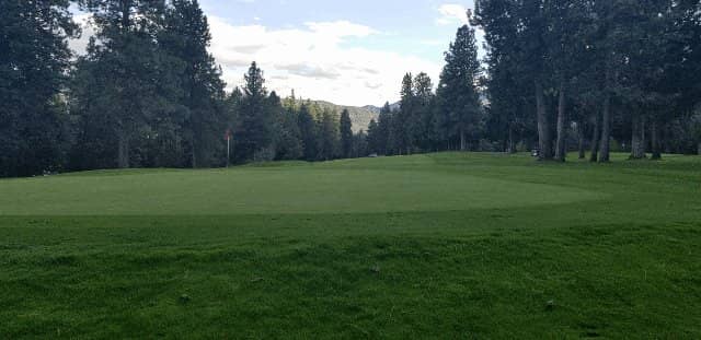 Well-Maintained Greens