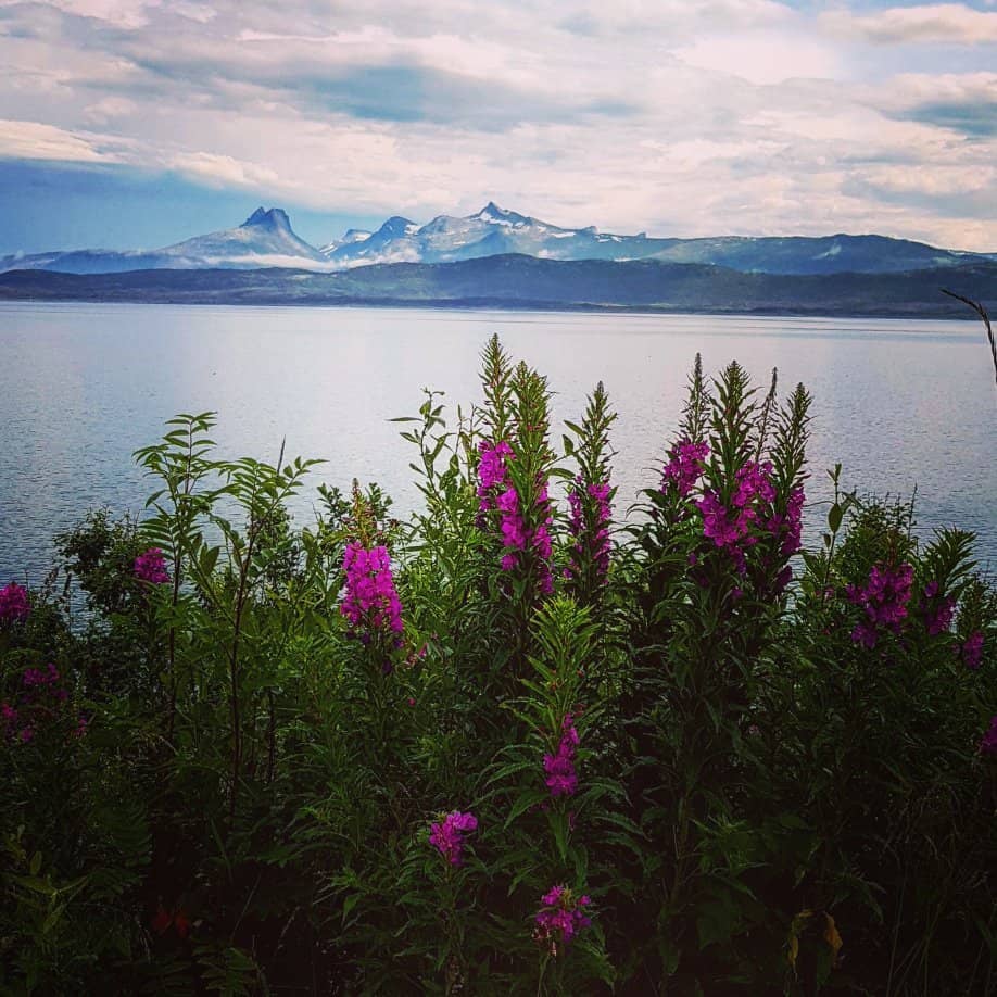 Boardwalks and Nature