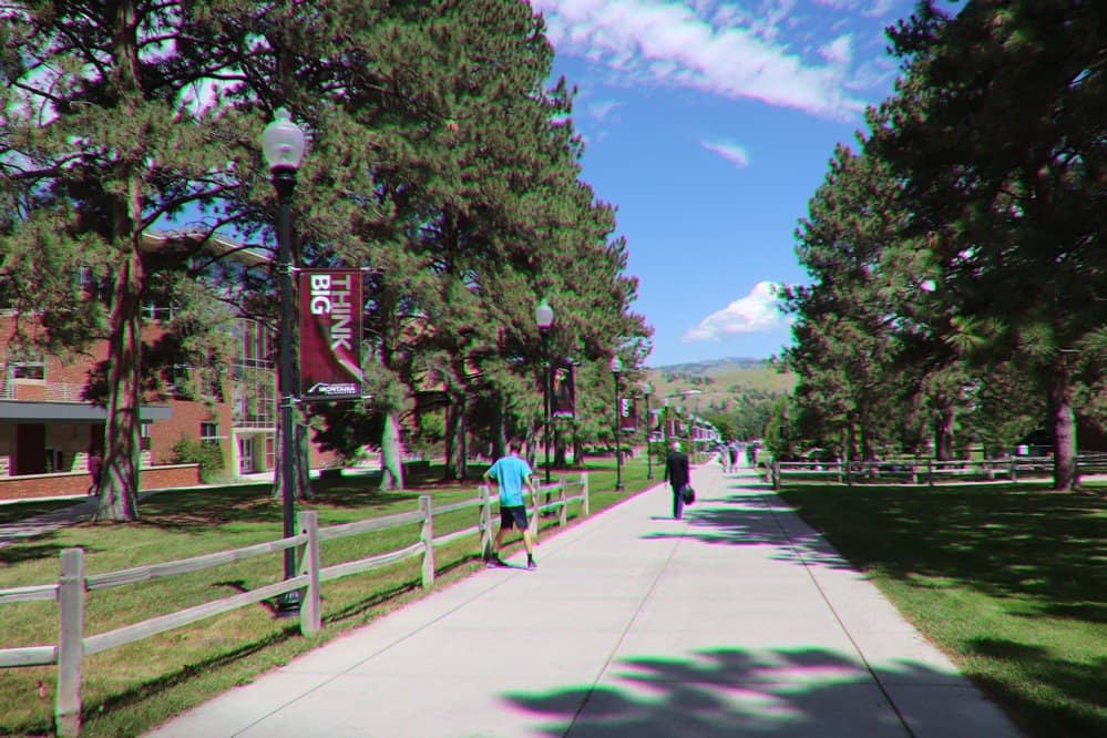 Parklike Campus Grounds