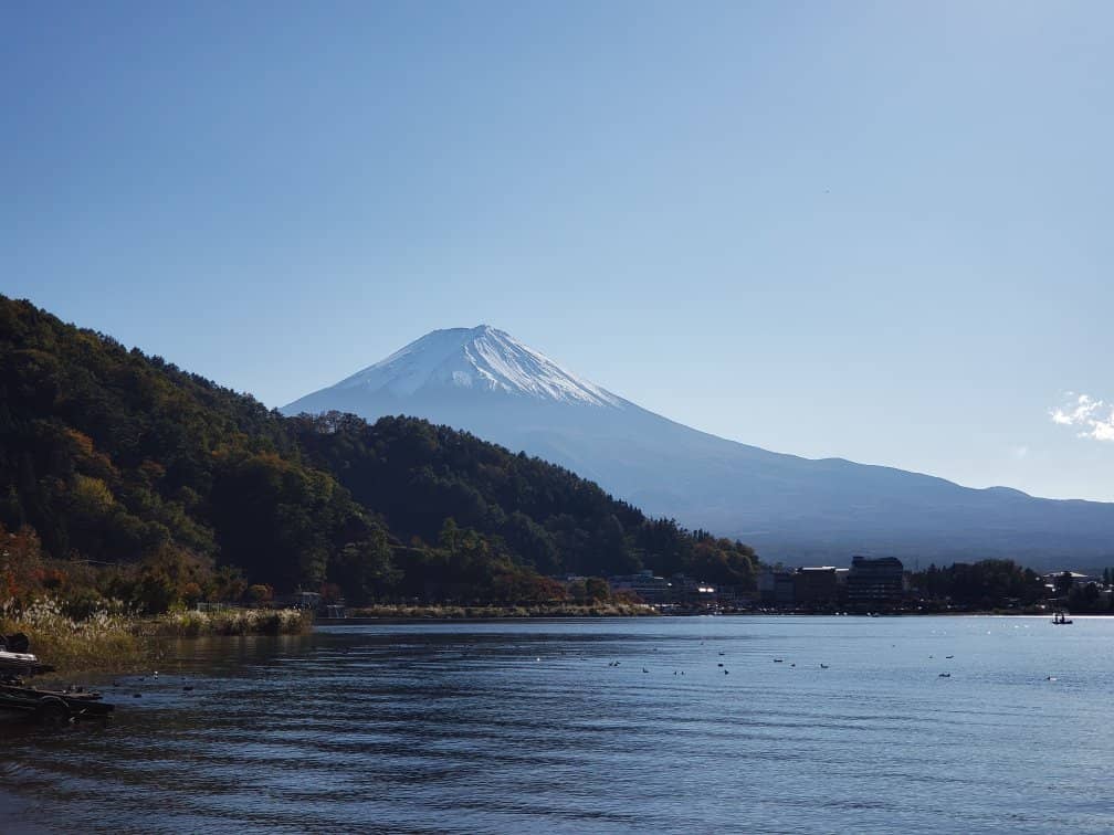 Generous Portions of Authentic Japanese Cuisine