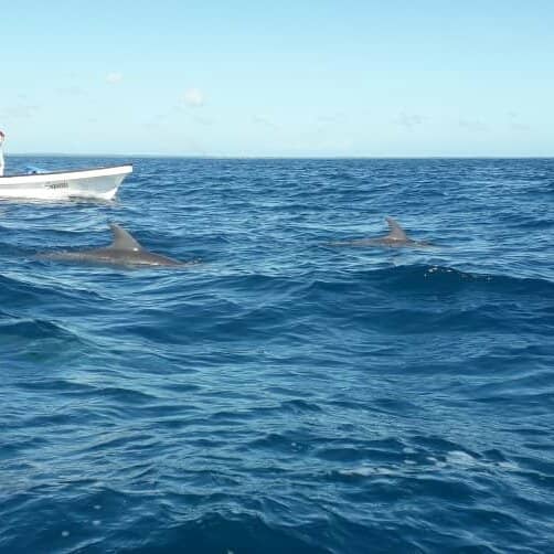 Sandbank Escapes