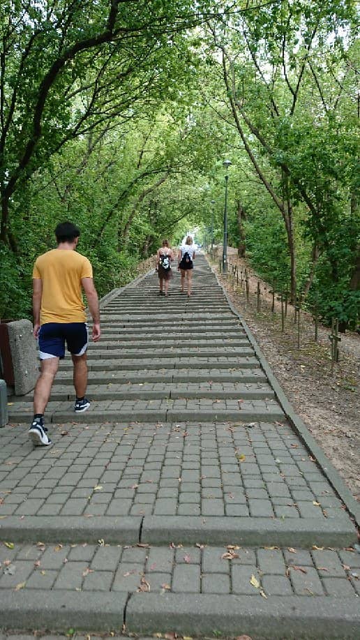 The 'W' Stairs